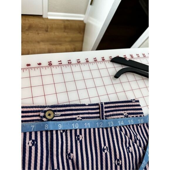 Anthropologie Essential Slim blue and pink striped pants size 12 - Picture 11 of 12